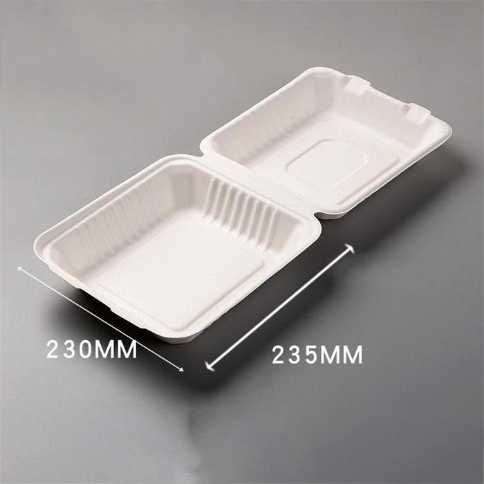 Biodegradable / Sugarcane food container with lid from DisposablesInc.com. The best import service in China. Import your disposable items from us.